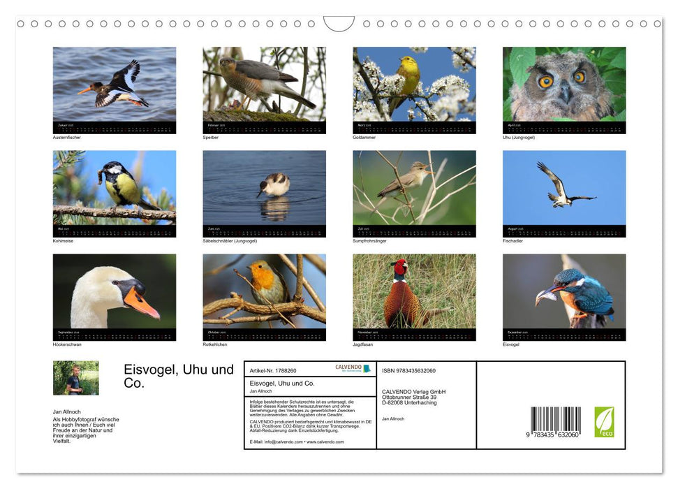 Eisvogel, Uhu und Co. (CALVENDO Wandkalender 2025)