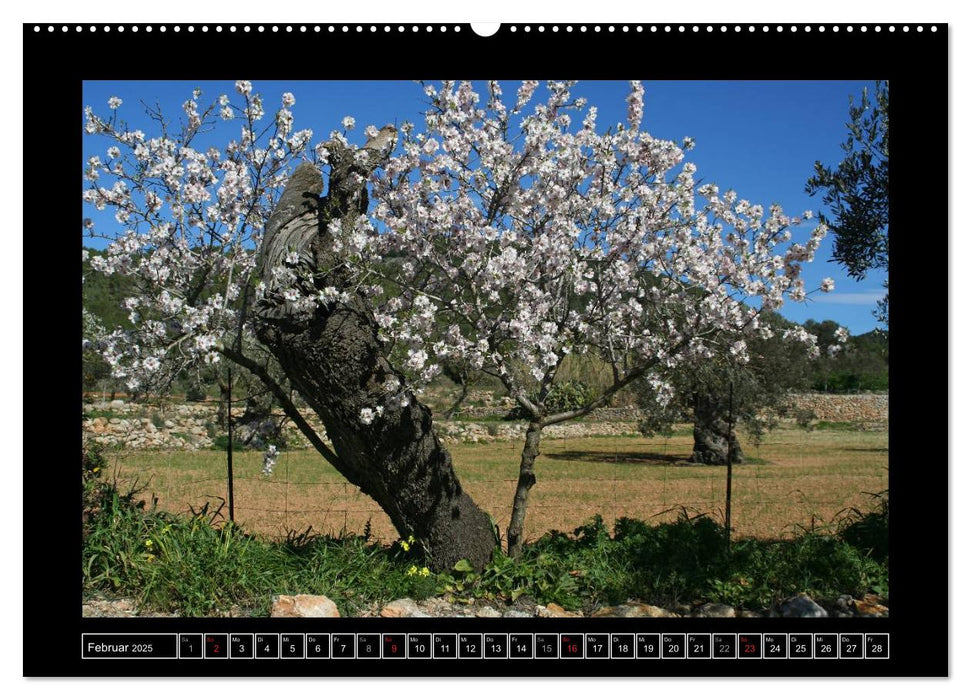 Ländliche Idylle auf Ibiza (CALVENDO Premium Wandkalender 2025)