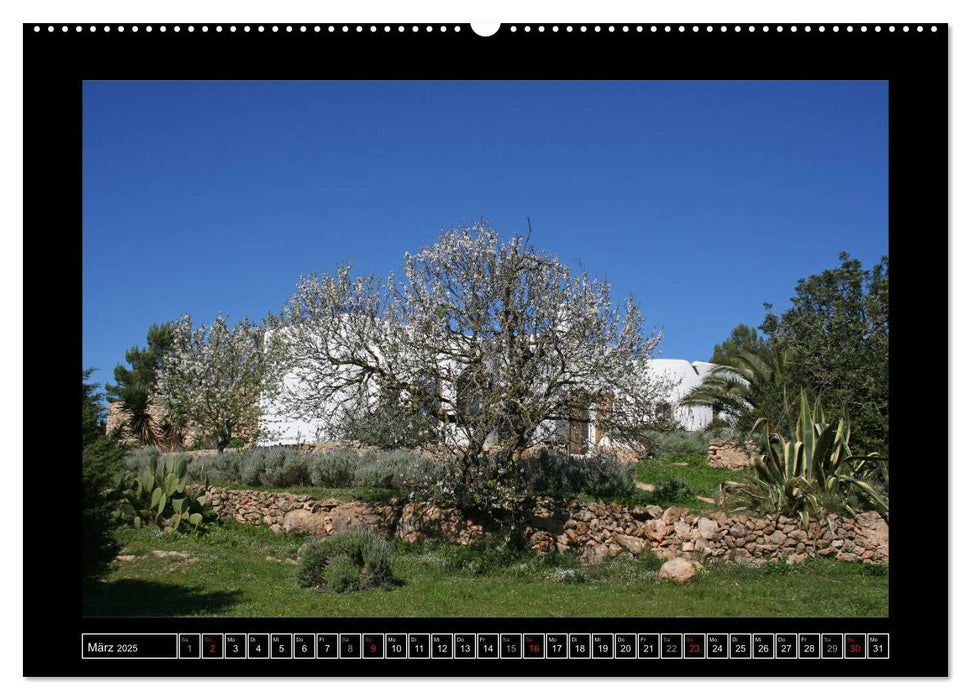 Ländliche Idylle auf Ibiza (CALVENDO Premium Wandkalender 2025)