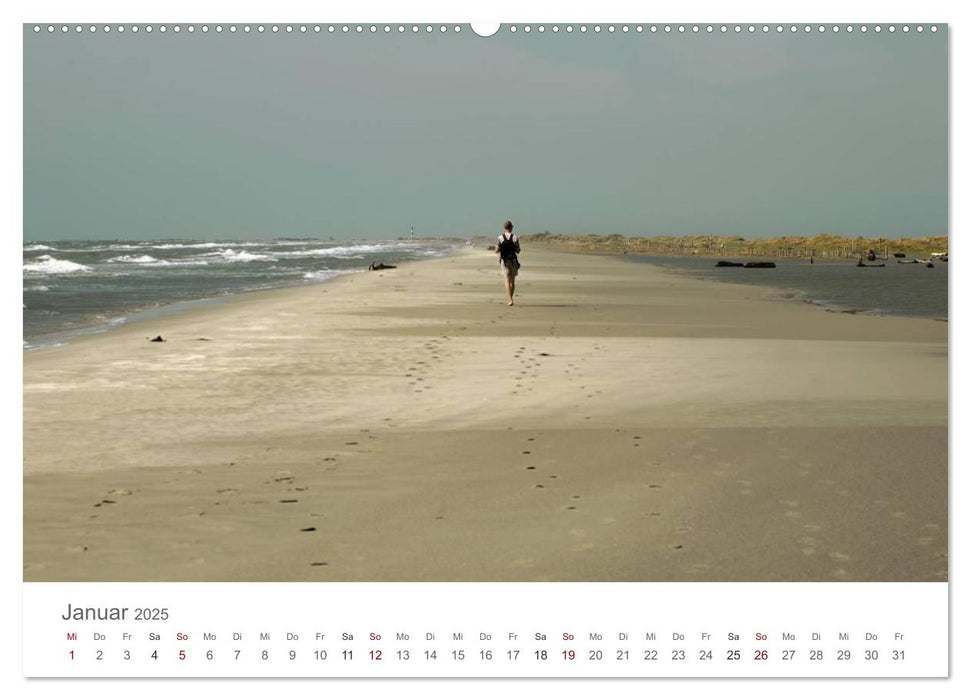 Die Farben der Camargue (CALVENDO Premium Wandkalender 2025)