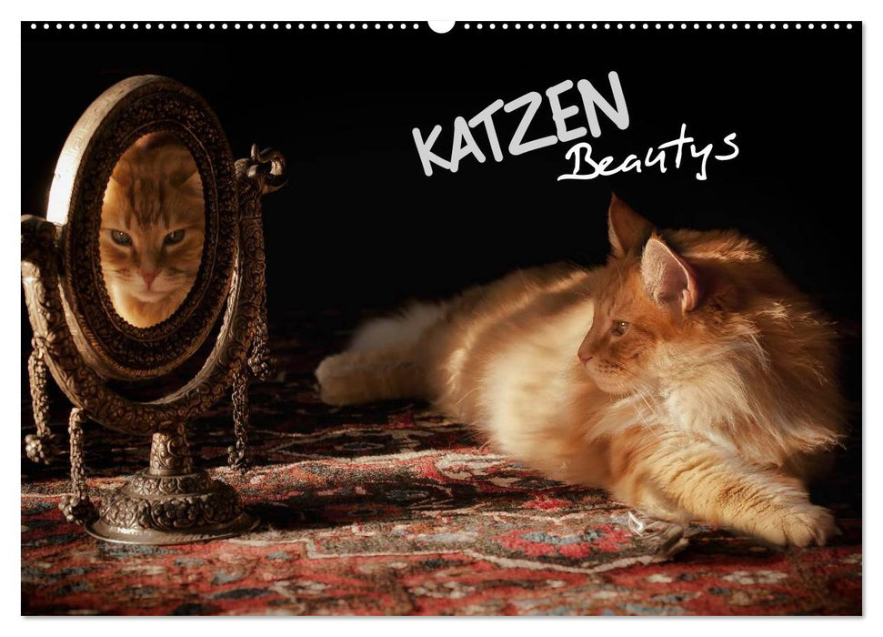 KATZEN Beautys (CALVENDO Wandkalender 2025)