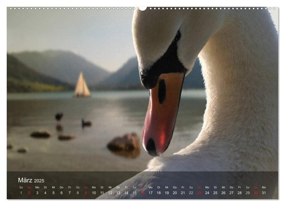 Nur ein Augenblick (CALVENDO Premium Wandkalender 2025)