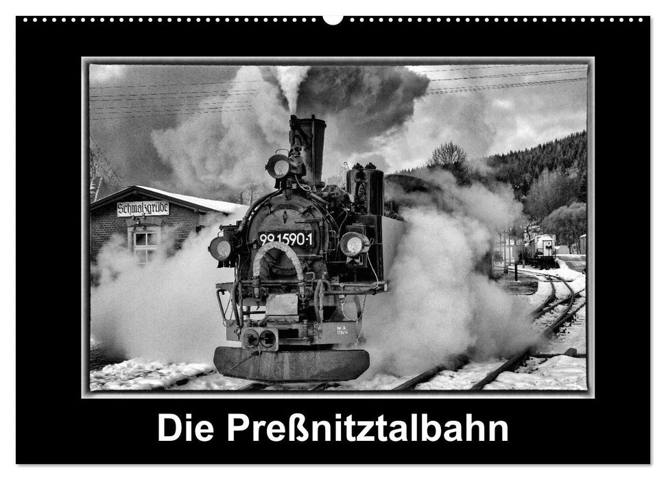 Die Preßnitztalbahn (CALVENDO Wandkalender 2025)