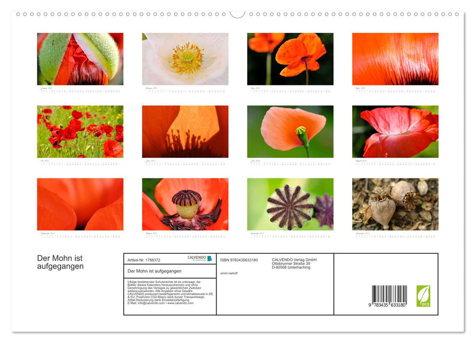 Der Mohn ist aufgegangen (CALVENDO Premium Wandkalender 2025)