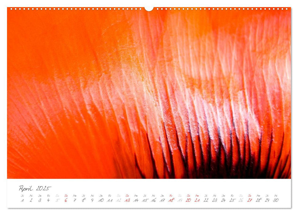 Der Mohn ist aufgegangen (CALVENDO Premium Wandkalender 2025)