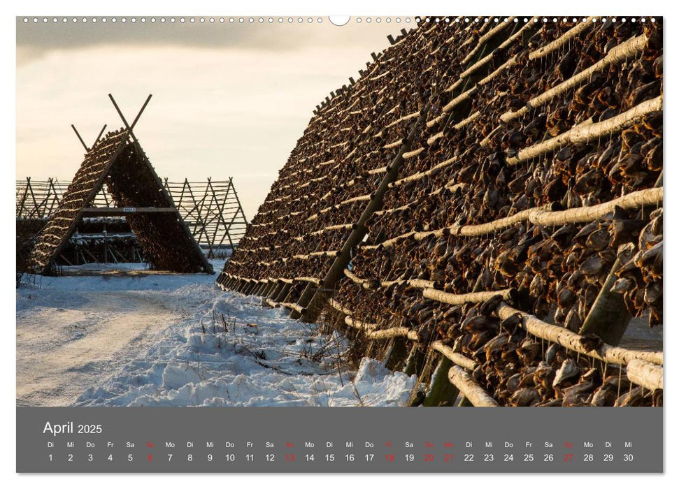 Lofoten - Nordlichter und Abendlicht (CALVENDO Wandkalender 2025)