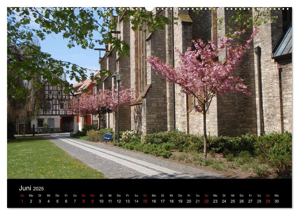 Bad Laer, Kurort am Teutoburger Wald (CALVENDO Premium Wandkalender 2025)