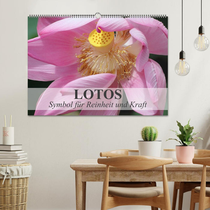 Lotos - Symbol für Reinheit und Kraft (CALVENDO Wandkalender 2025)