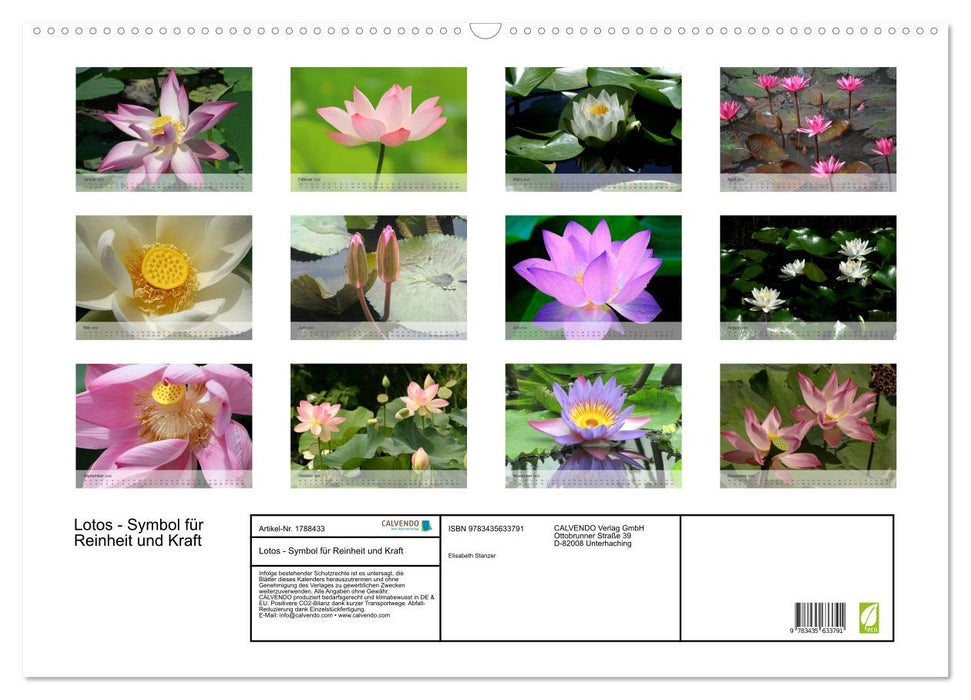 Lotos - Symbol für Reinheit und Kraft (CALVENDO Wandkalender 2025)