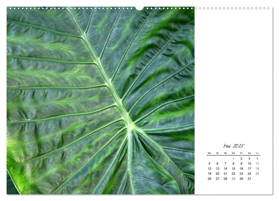 Blattkunst (CALVENDO Premium Wandkalender 2025)