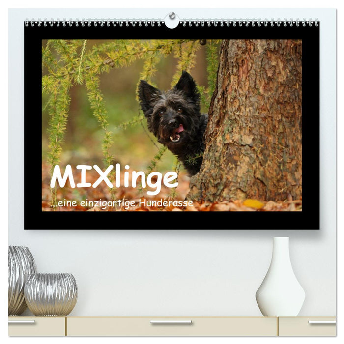 MIXlinge (CALVENDO Premium Wandkalender 2025)