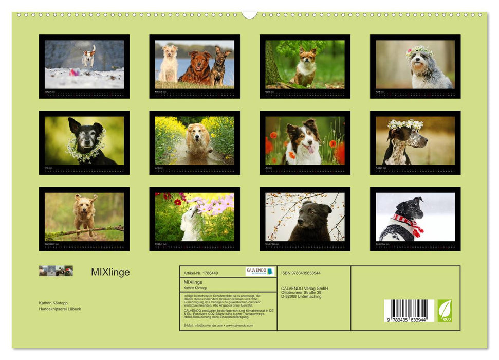 MIXlinge (CALVENDO Premium Wandkalender 2025)