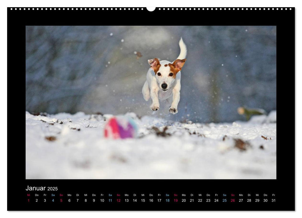 MIXlinge (CALVENDO Premium Wandkalender 2025)