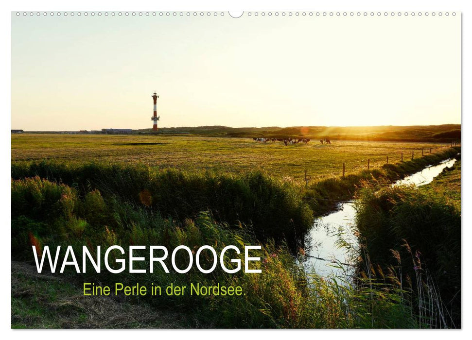 Wangerooge – Eine Perle in der Nordsee. (CALVENDO Wandkalender 2025)