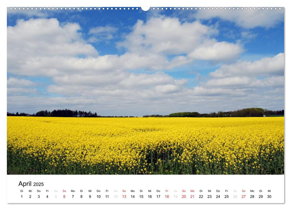 Dänemark - Unterwegs in Jütland (CALVENDO Wandkalender 2025)