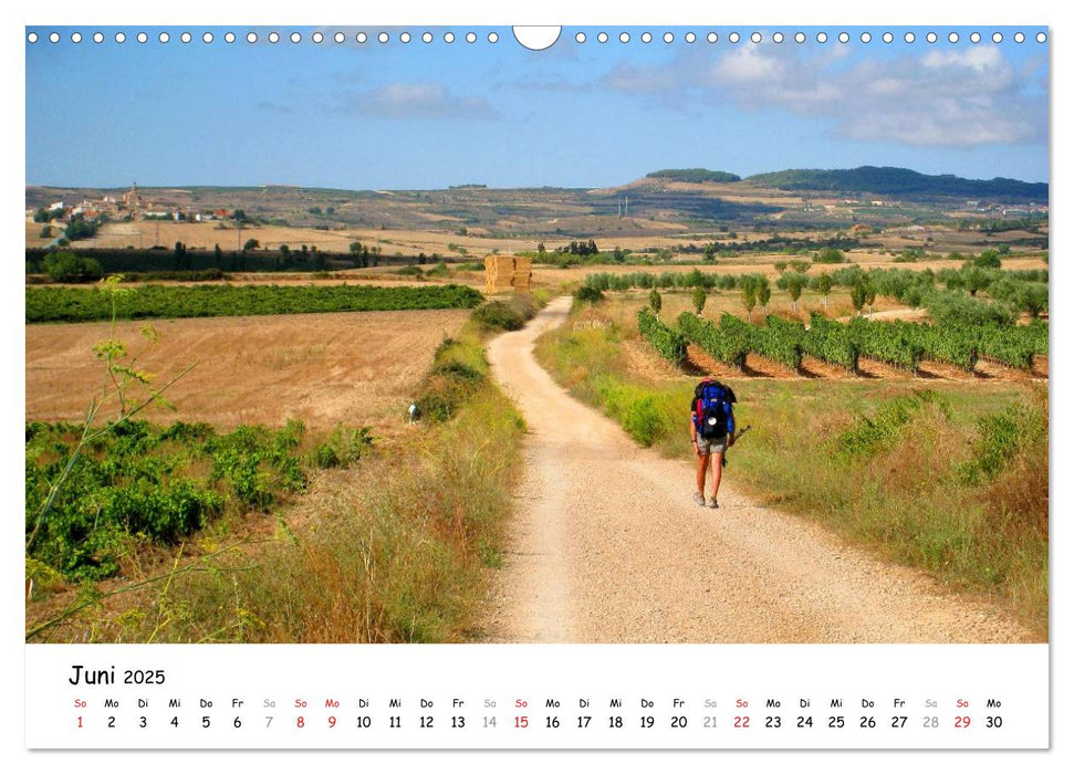 Jakobsweg - Camino Frances (CALVENDO Wandkalender 2025)