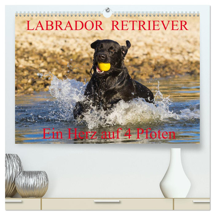 Labrador Retriever - ein Herz auf 4 Pfoten (CALVENDO Premium Wandkalender 2025)