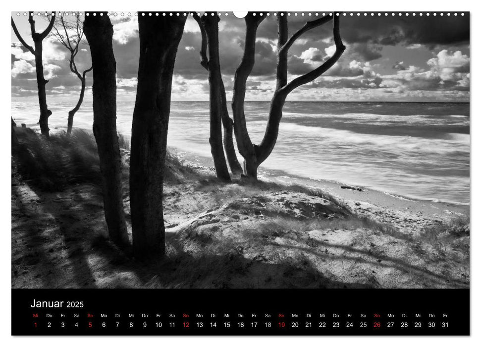 Strandspaziergang an der Ostsee (CALVENDO Premium Wandkalender 2025)