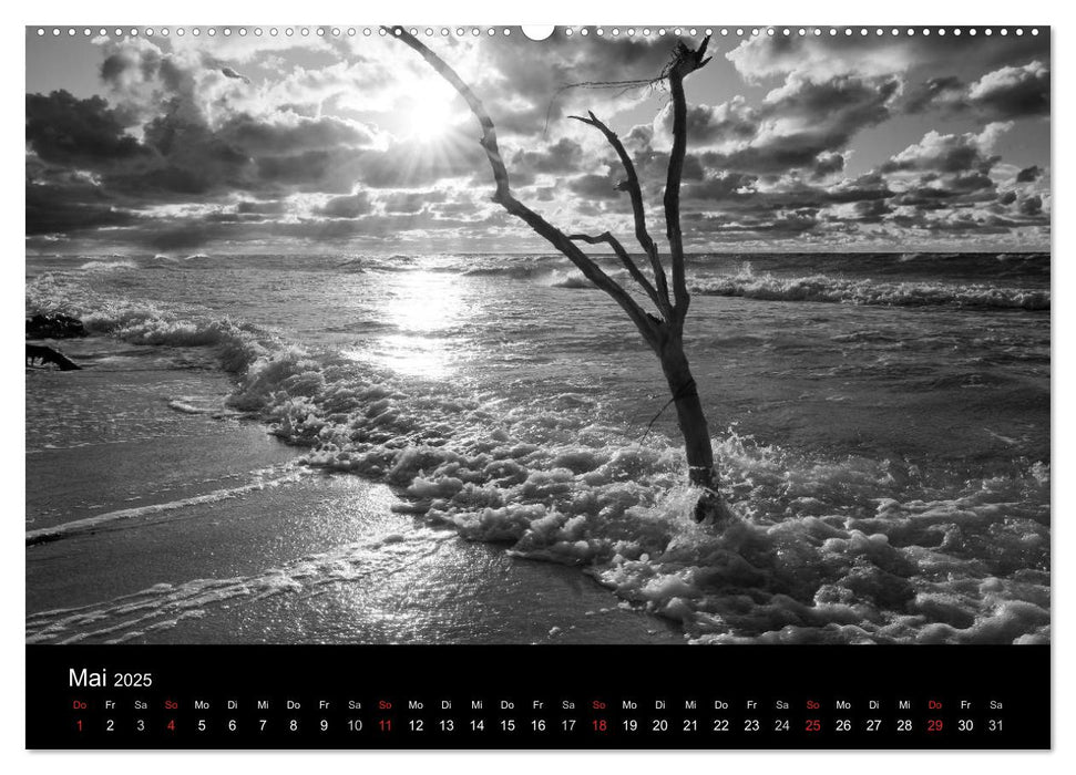 Strandspaziergang an der Ostsee (CALVENDO Premium Wandkalender 2025)