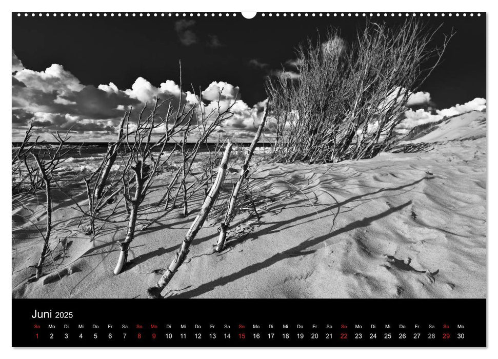 Strandspaziergang an der Ostsee (CALVENDO Premium Wandkalender 2025)