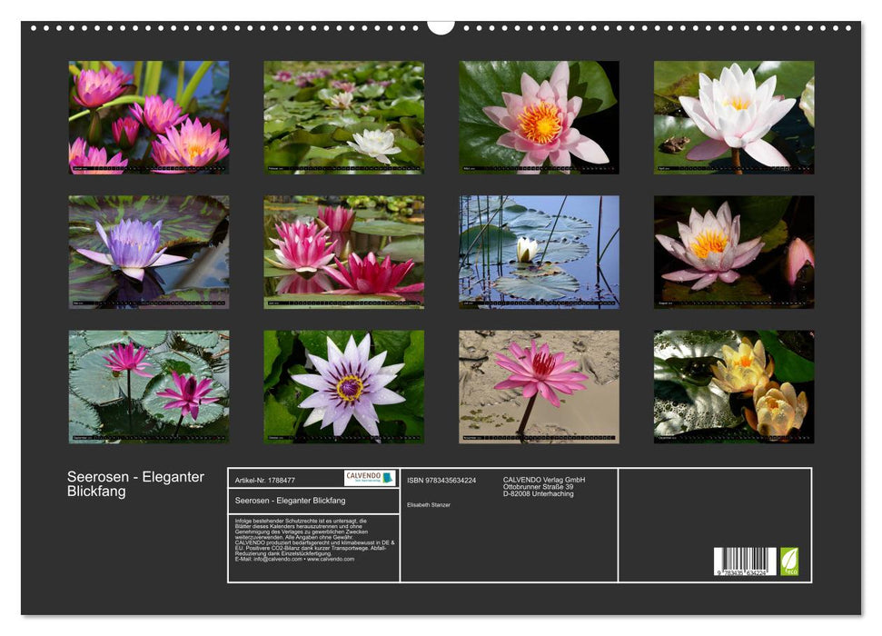 Seerosen - Eleganter Blickfang (CALVENDO Wandkalender 2025)