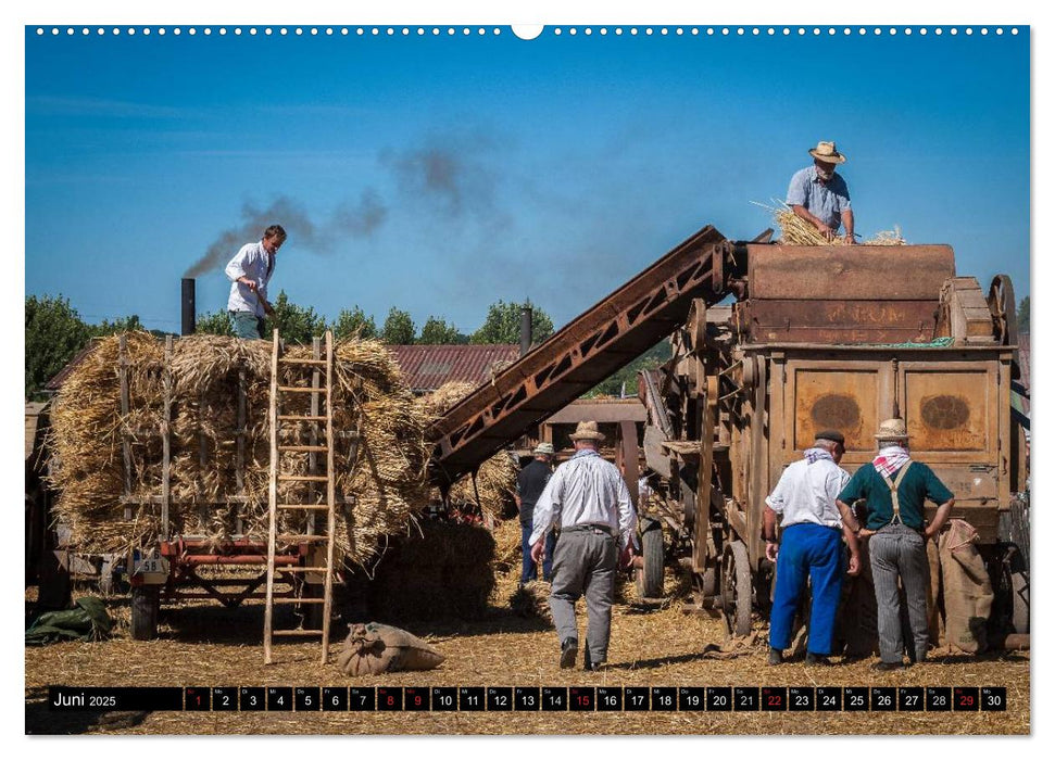 Landwirtschaft - Bilder von einst (CALVENDO Premium Wandkalender 2025)