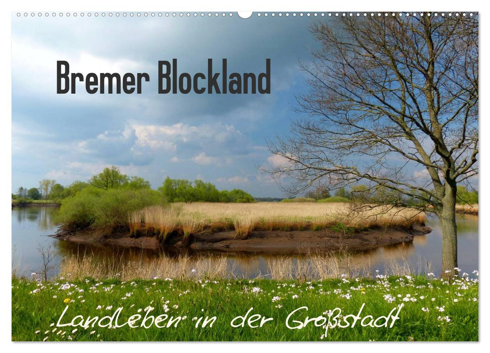 Bremer Blockland - Landleben in der Großstadt (CALVENDO Wandkalender 2025)