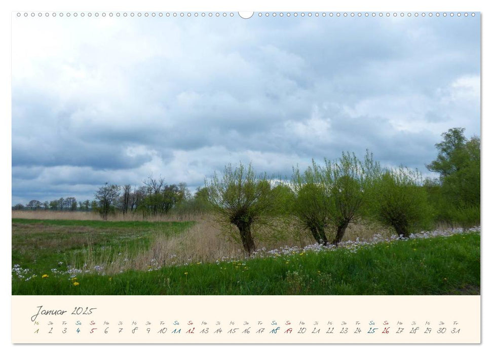 Bremer Blockland - Landleben in der Großstadt (CALVENDO Wandkalender 2025)