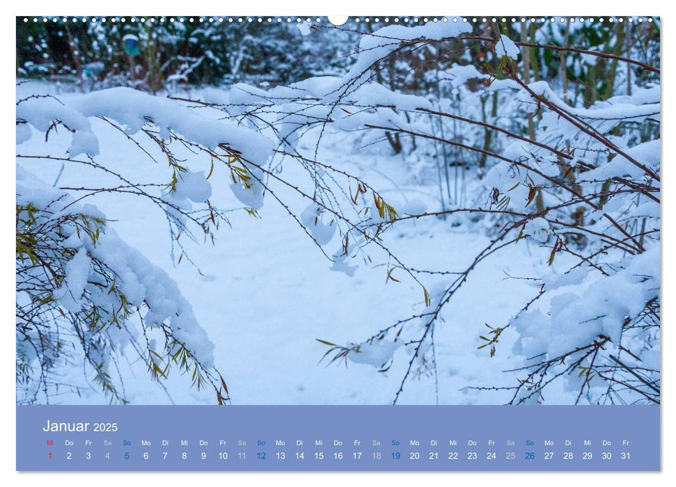 Gartenflüstern (CALVENDO Premium Wandkalender 2025)