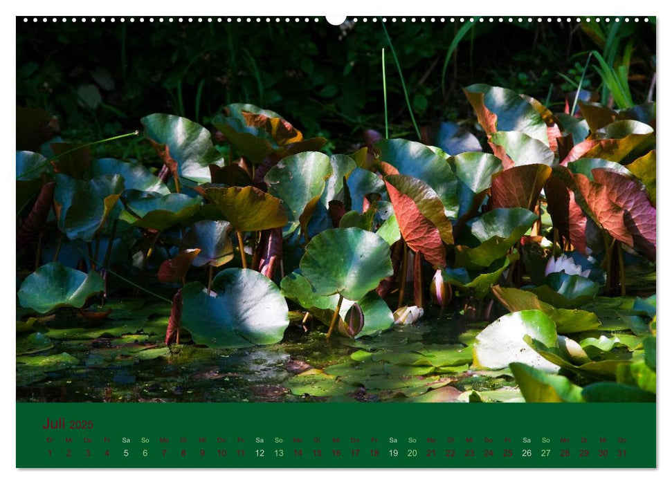 Gartenflüstern (CALVENDO Premium Wandkalender 2025)