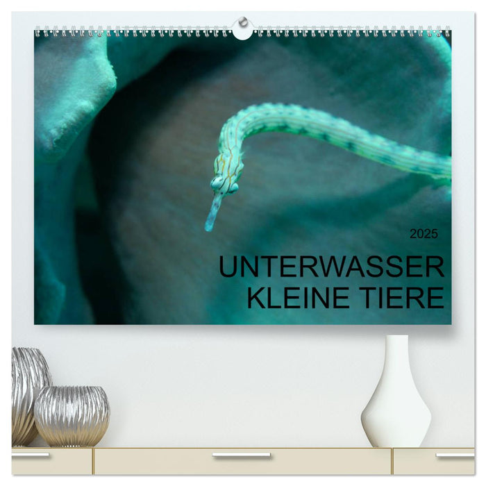 UNTERWASSER KLEINE TIERE (CALVENDO Premium Wandkalender 2025)