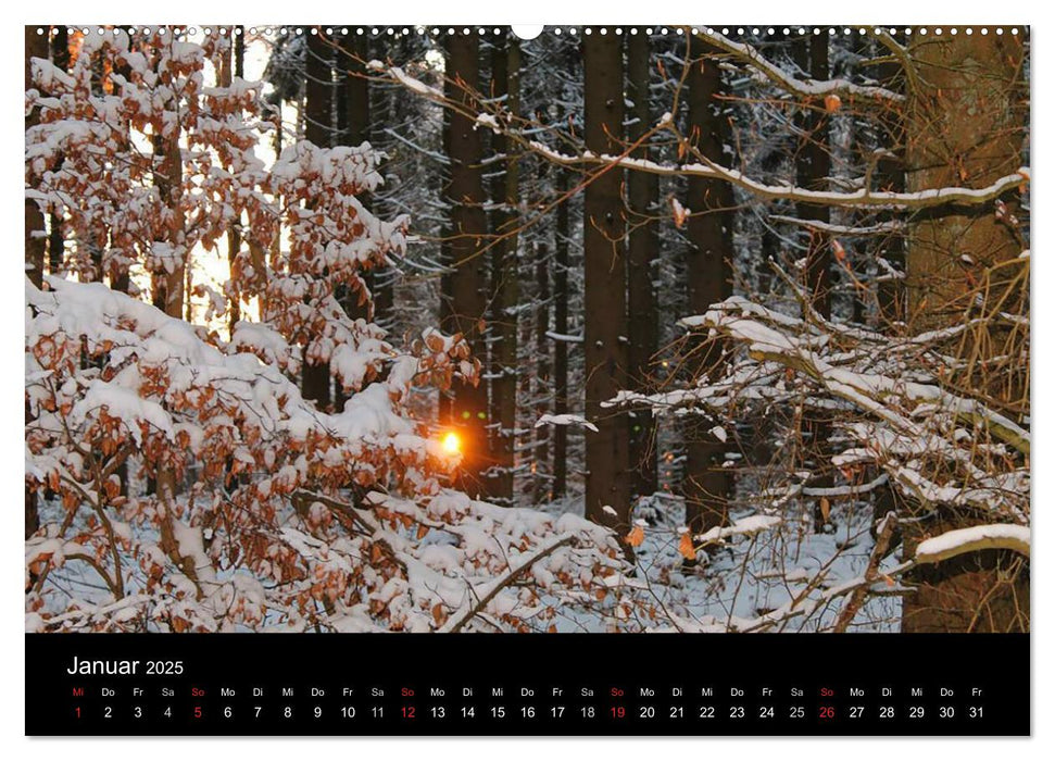 Meine Heimat Westerwald (CALVENDO Premium Wandkalender 2025)