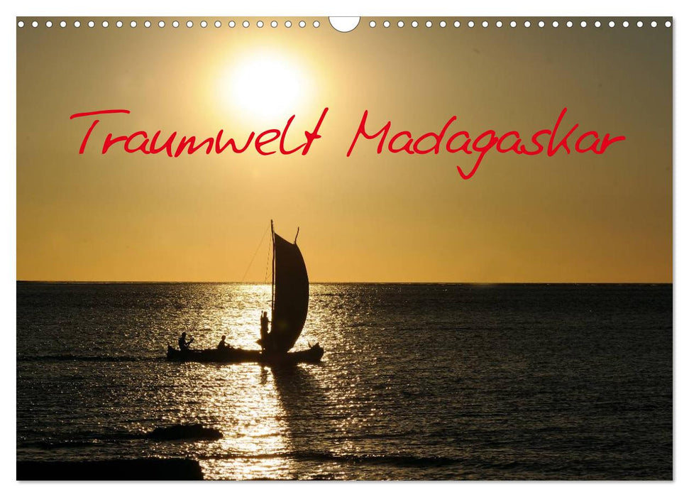 Traumwelt Madagaskar (CALVENDO Wandkalender 2025)