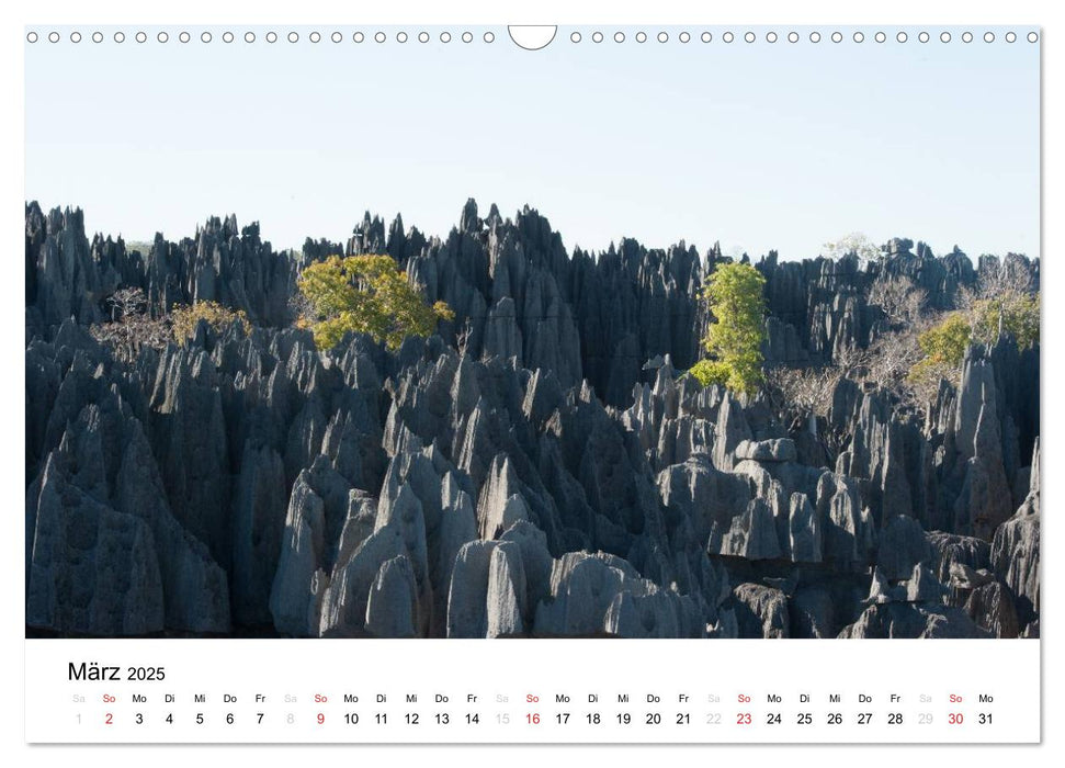 Traumwelt Madagaskar (CALVENDO Wandkalender 2025)