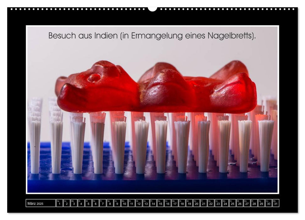 Wissenswertes aus der Welt der Gummibären (CALVENDO Wandkalender 2025)