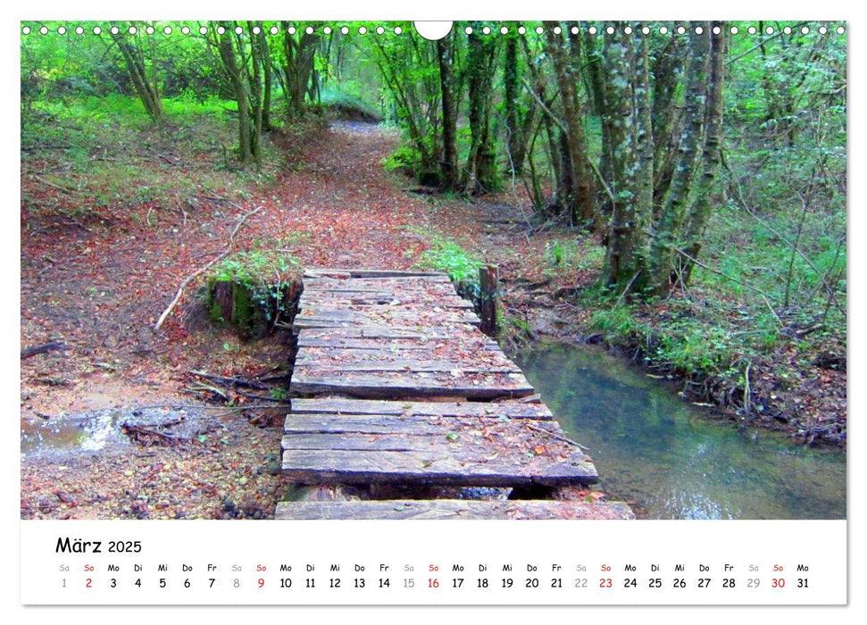 Franziskusweg - Camino di Assisi (CALVENDO Wandkalender 2025)