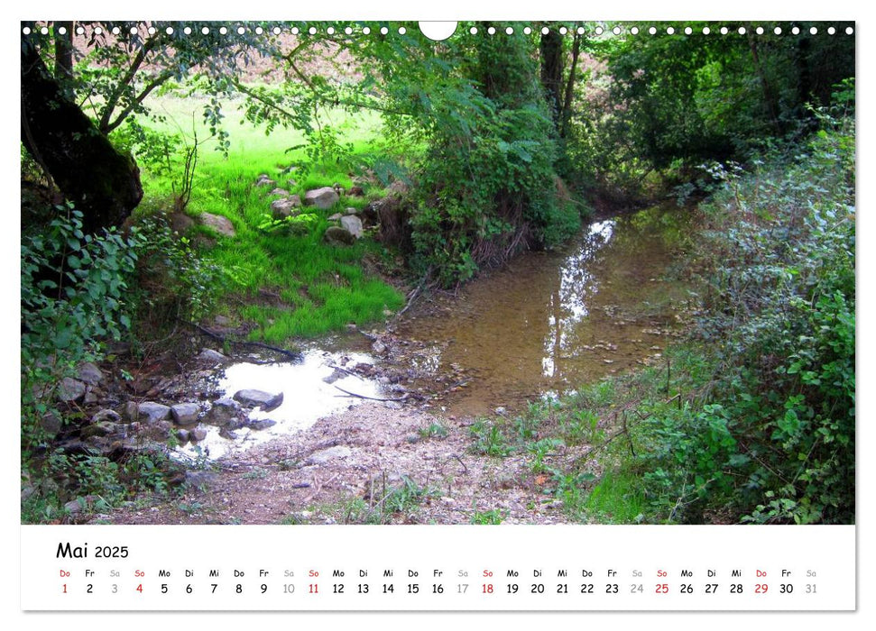 Franziskusweg - Camino di Assisi (CALVENDO Wandkalender 2025)