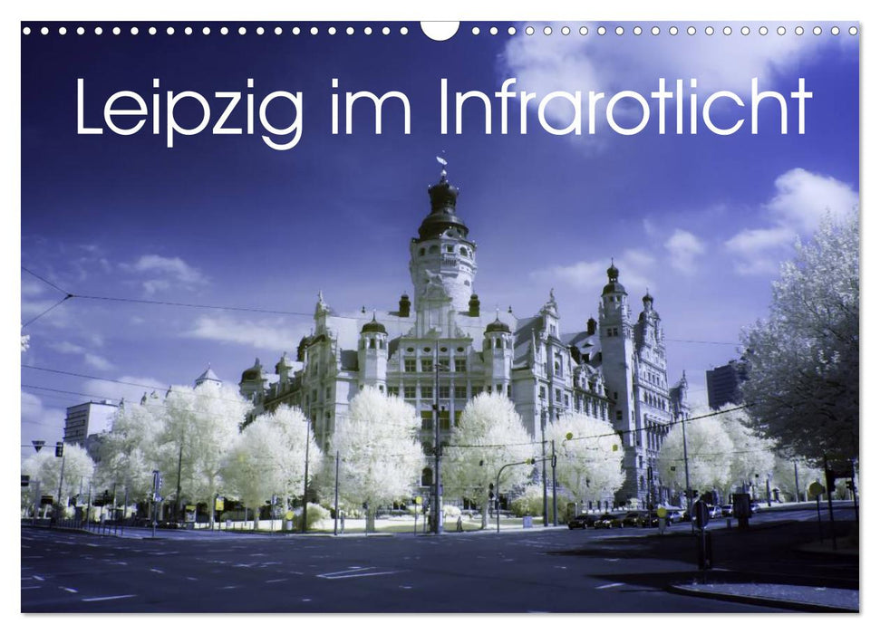 Leipzig im Infrarotlicht (CALVENDO Wandkalender 2025)