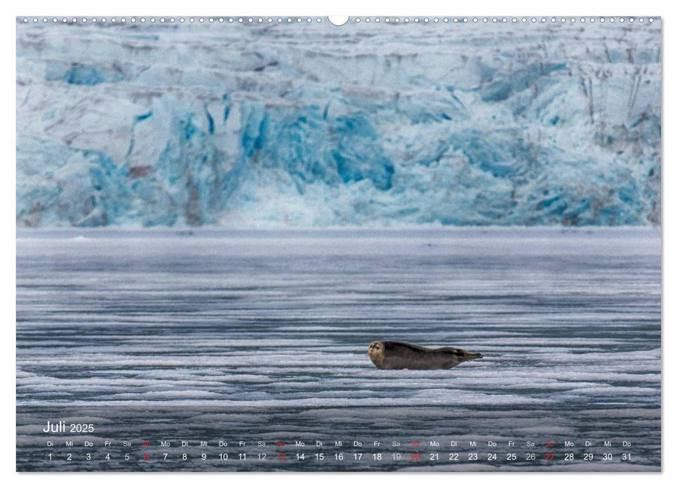 Spitzbergen - Impressionen aus der Arktis (CALVENDO Premium Wandkalender 2025)