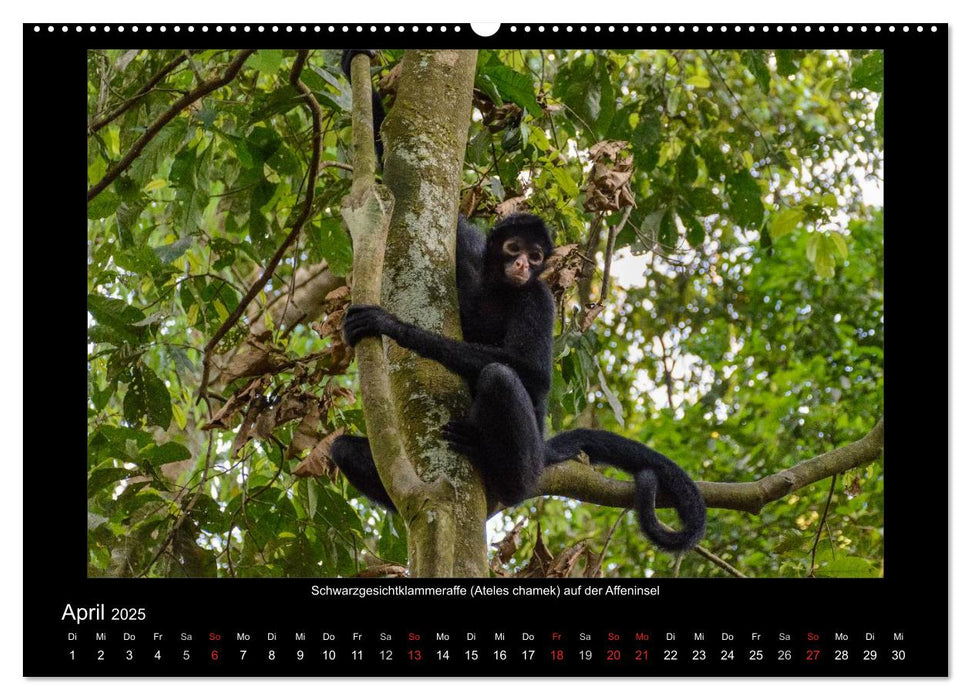 Exotisches Peru (CALVENDO Premium Wandkalender 2025)