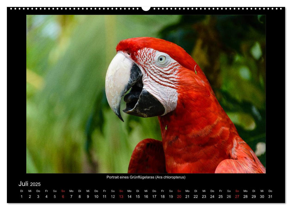 Exotisches Peru (CALVENDO Premium Wandkalender 2025)