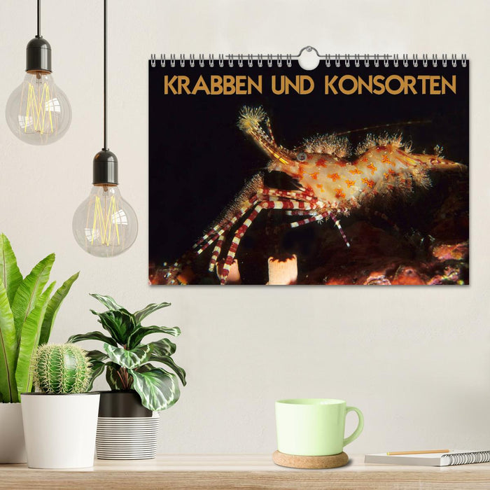 KRABBEN UND KONSORTEN (CALVENDO Wandkalender 2025)