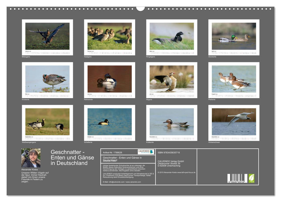 Geschnatter - Enten und Gänse in Deutschland (CALVENDO Wandkalender 2025)