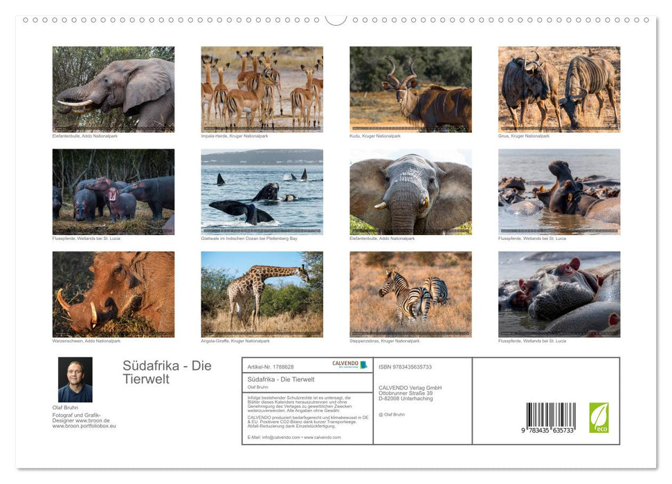 Südafrika - Die Tierwelt (CALVENDO Premium Wandkalender 2025)