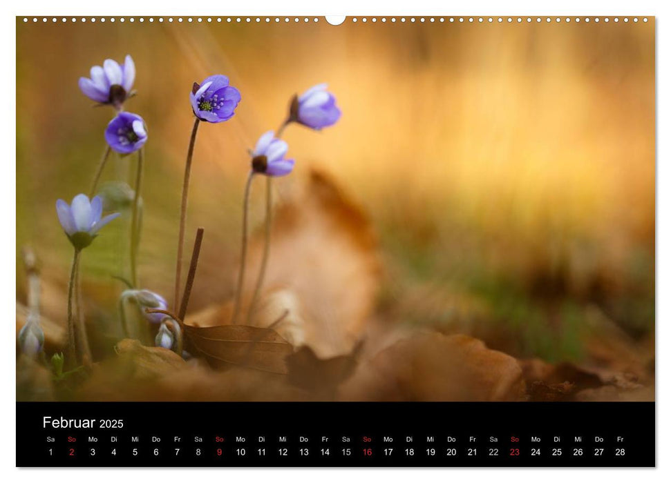 NATUR PUR - PURE NATURE (CALVENDO Wandkalender 2025)