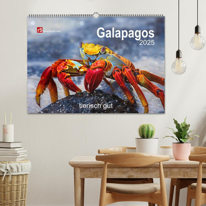 Galapagos 2025 tierisch gut (CALVENDO Wandkalender 2025)