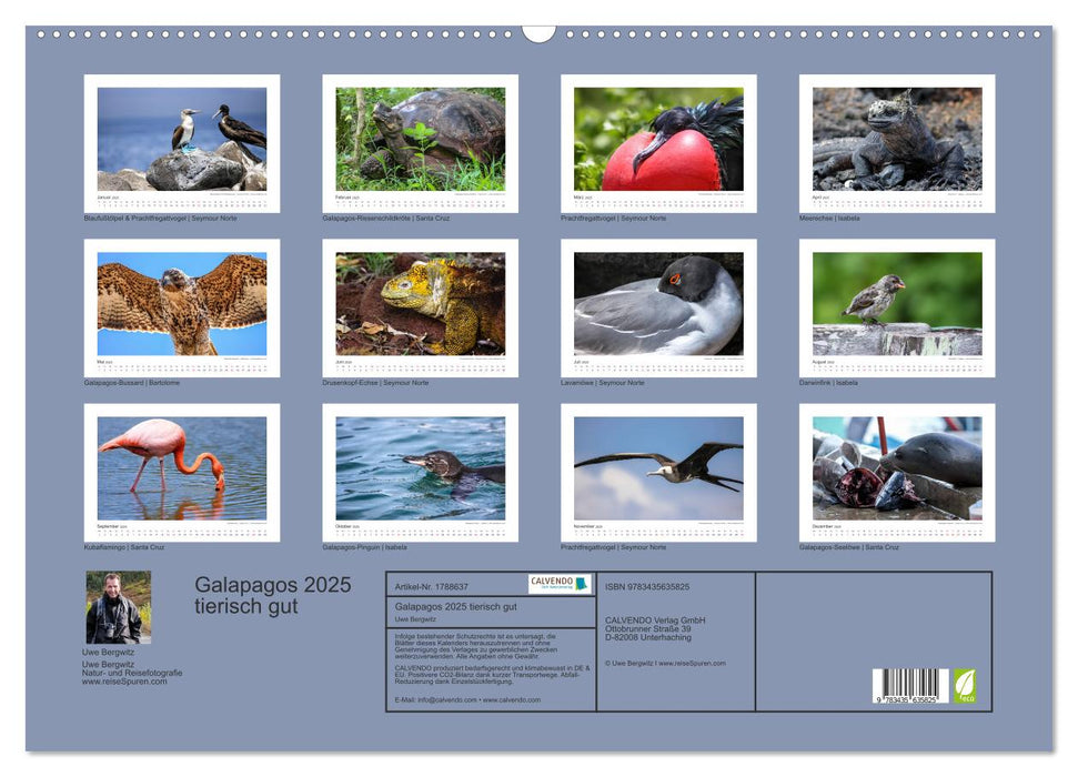 Galapagos 2025 tierisch gut (CALVENDO Wandkalender 2025)