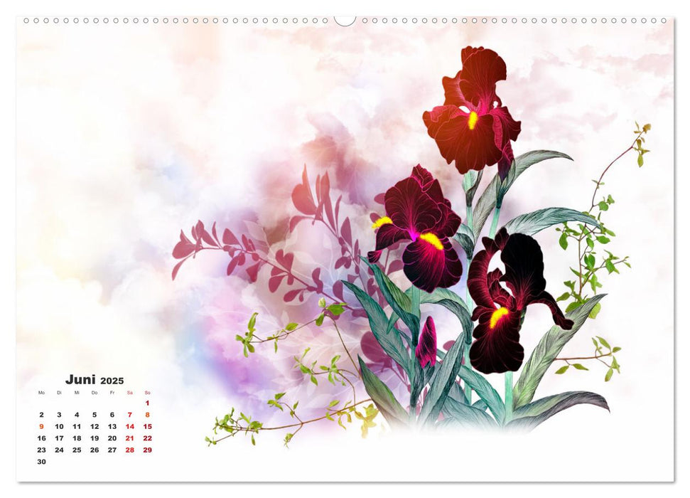 Irisblüten Zeichnungen (CALVENDO Premium Wandkalender 2025)