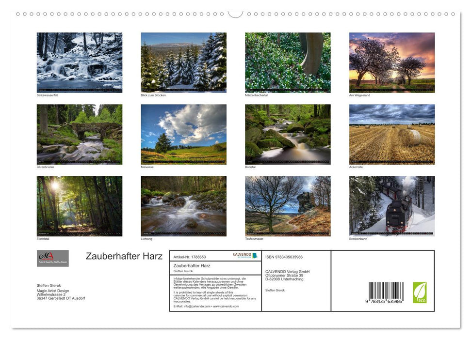 Zauberhafter Harz (CALVENDO Premium Wandkalender 2025)