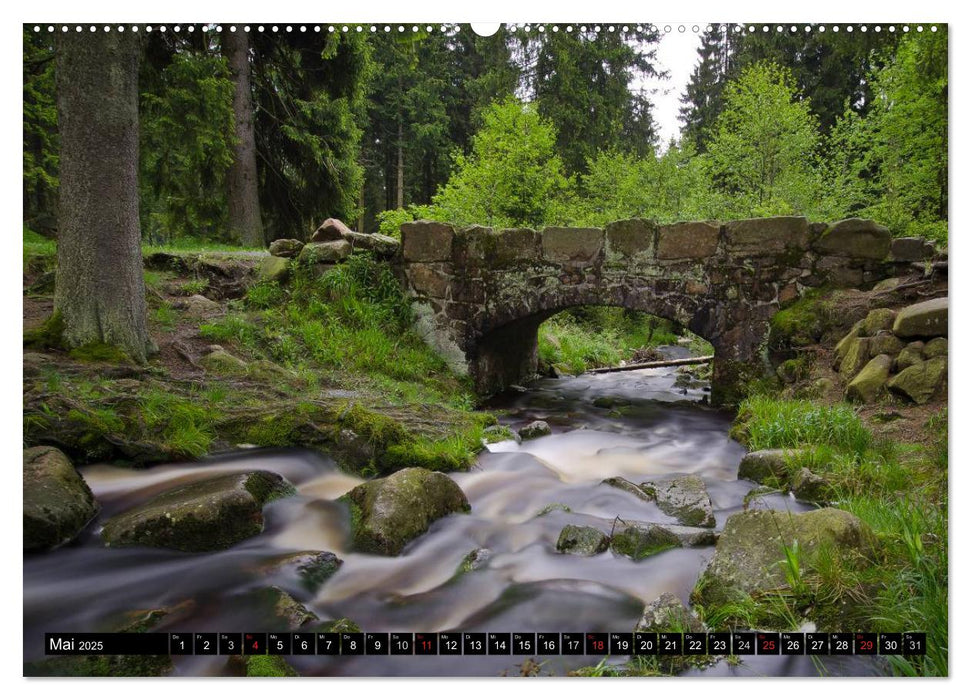 Zauberhafter Harz (CALVENDO Premium Wandkalender 2025)